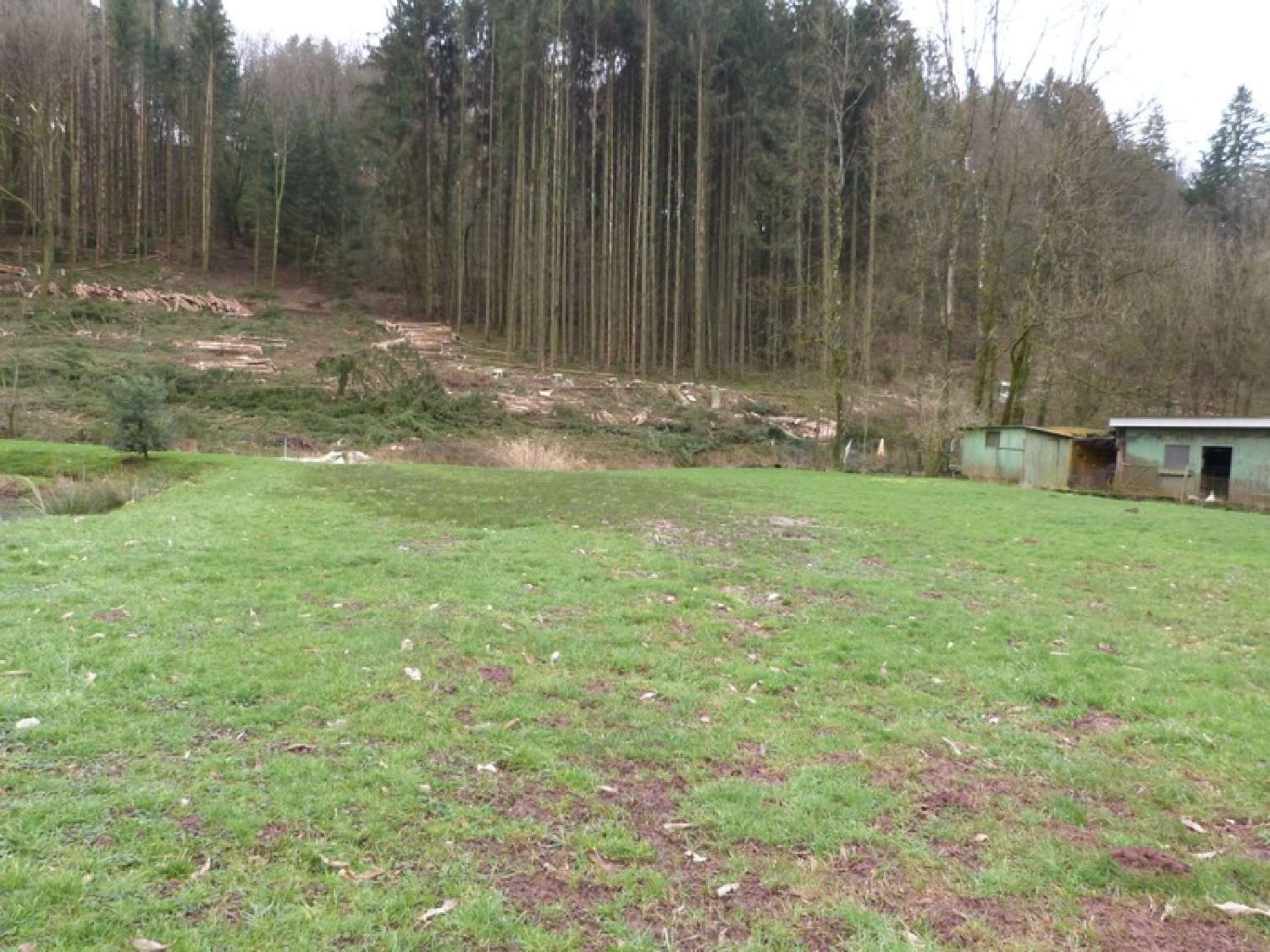  for sale terrain Hottviller Moselle 5