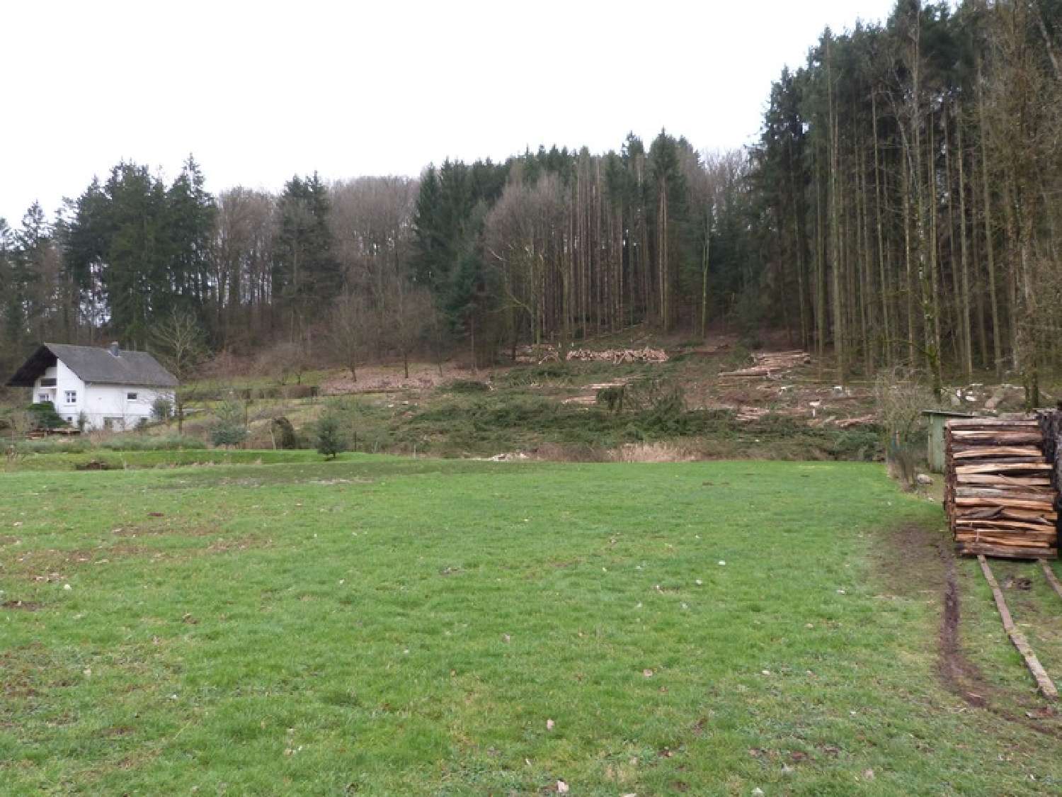  for sale terrain Hottviller Moselle 6