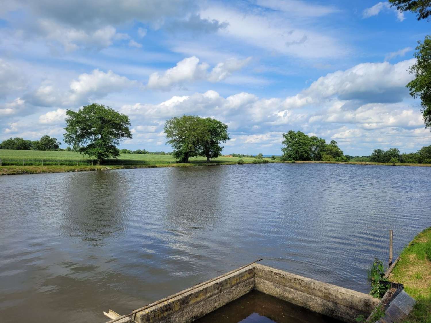  à vendre terrain Huriel Allier 4