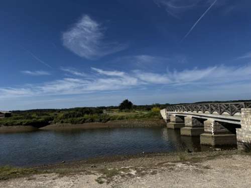 L'Île-d'Olonne Vendée terrain foto 7332390