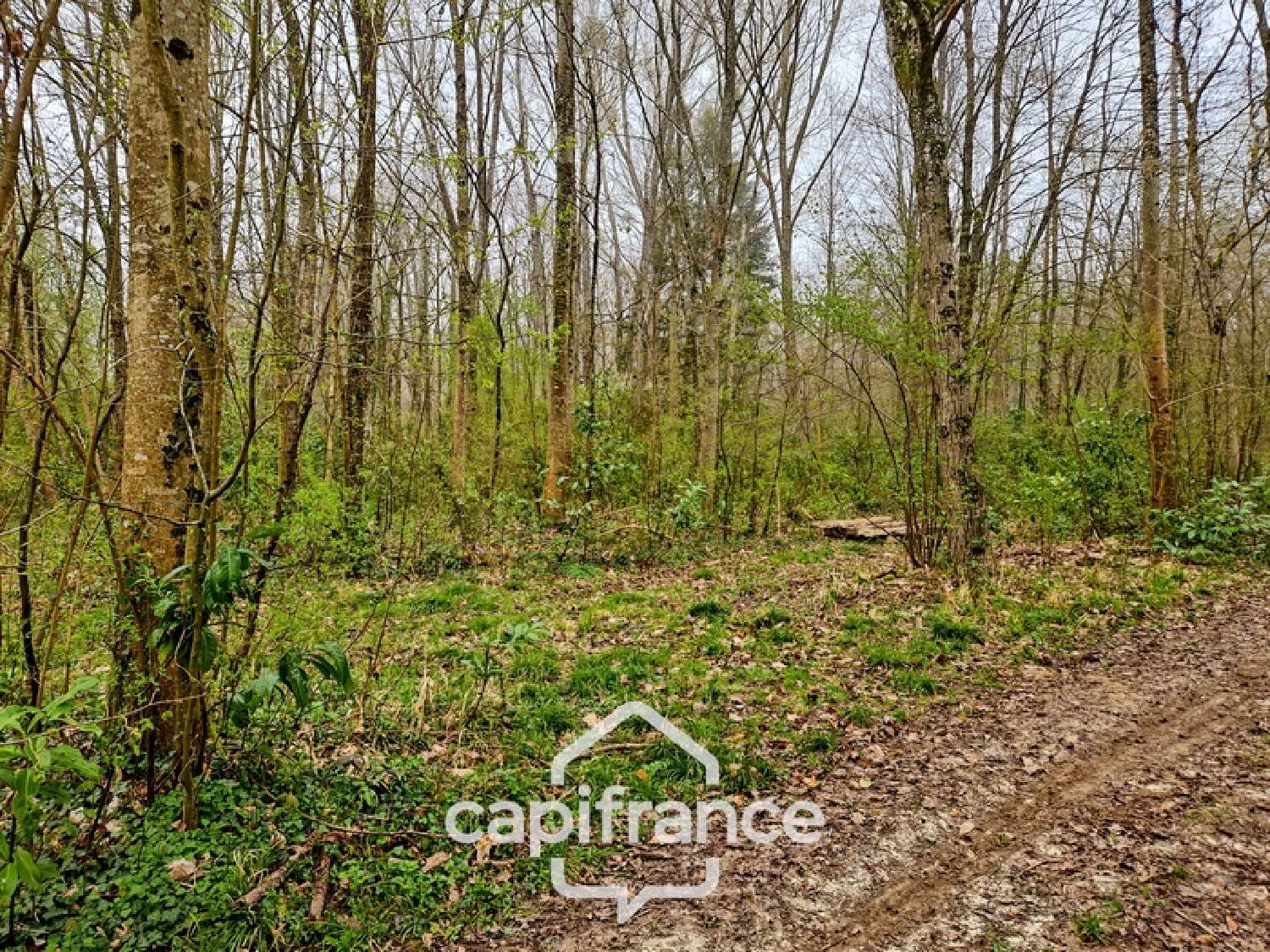  à vendre terrain La Ferté-sous-Jouarre Seine-et-Marne 6