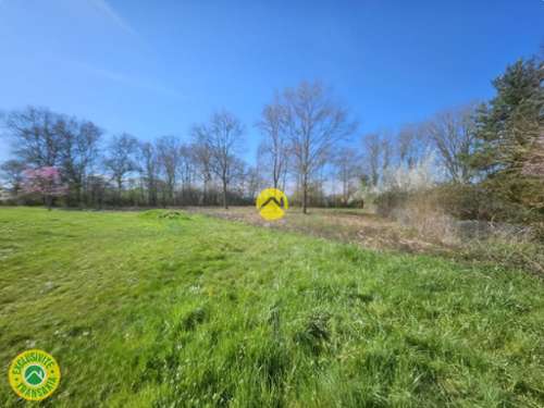 La Guerche-sur-l'Aubois Cher terrein foto