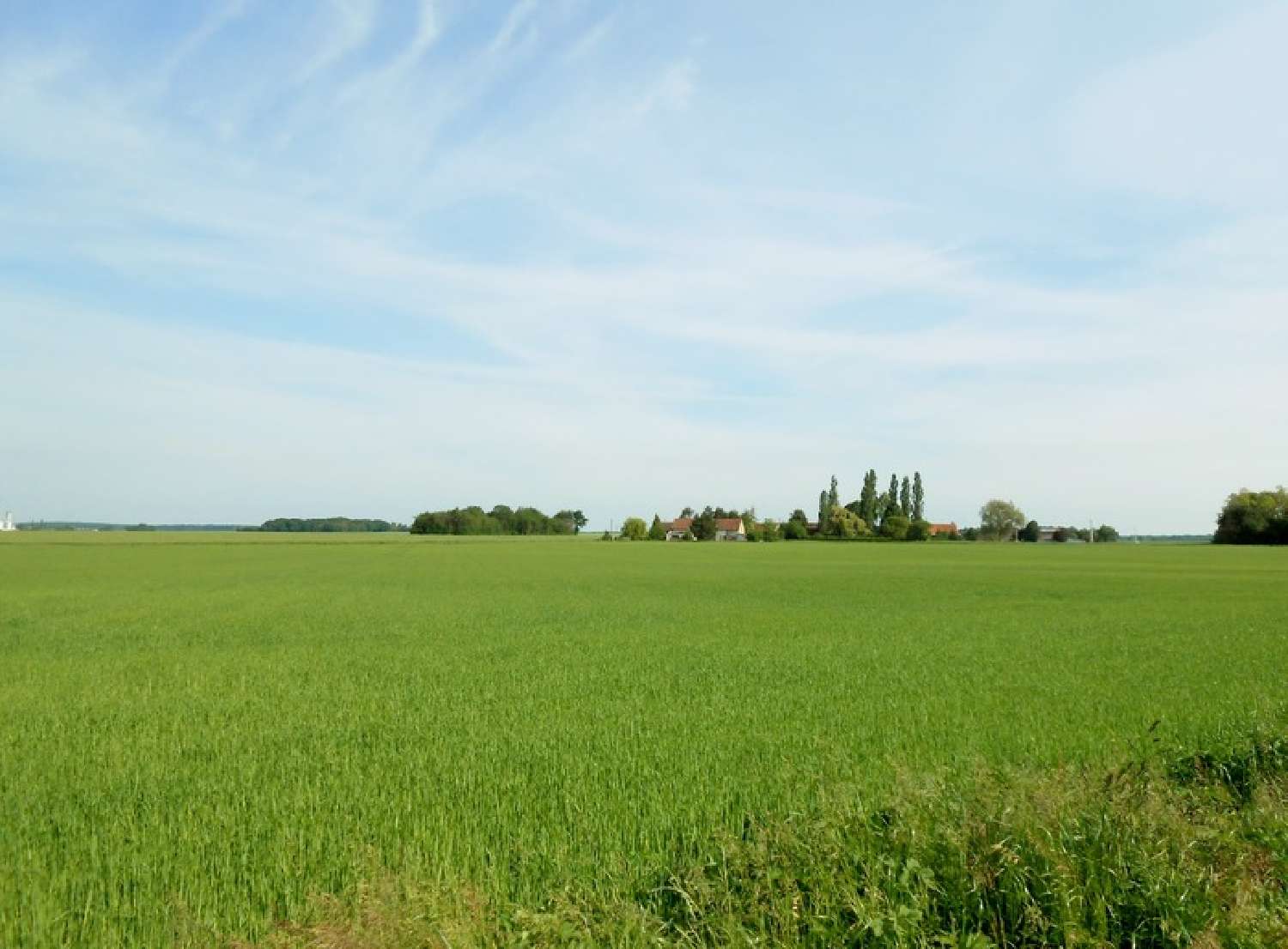  for sale terrain La Selle-sur-le-Bied Loiret 4