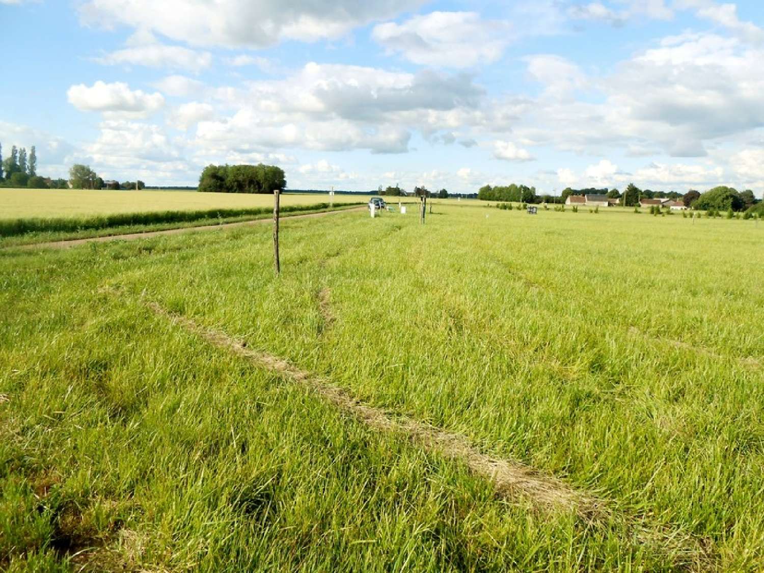  for sale terrain La Selle-sur-le-Bied Loiret 5