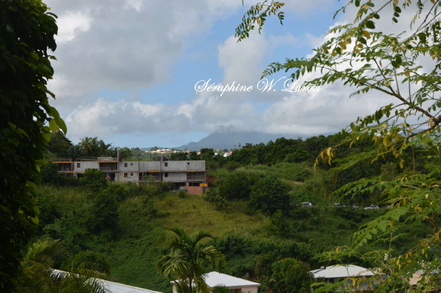  à vendre terrain La Trinité Martinique 3