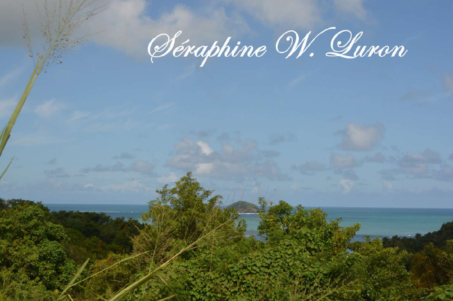  à vendre terrain La Trinité Martinique 4