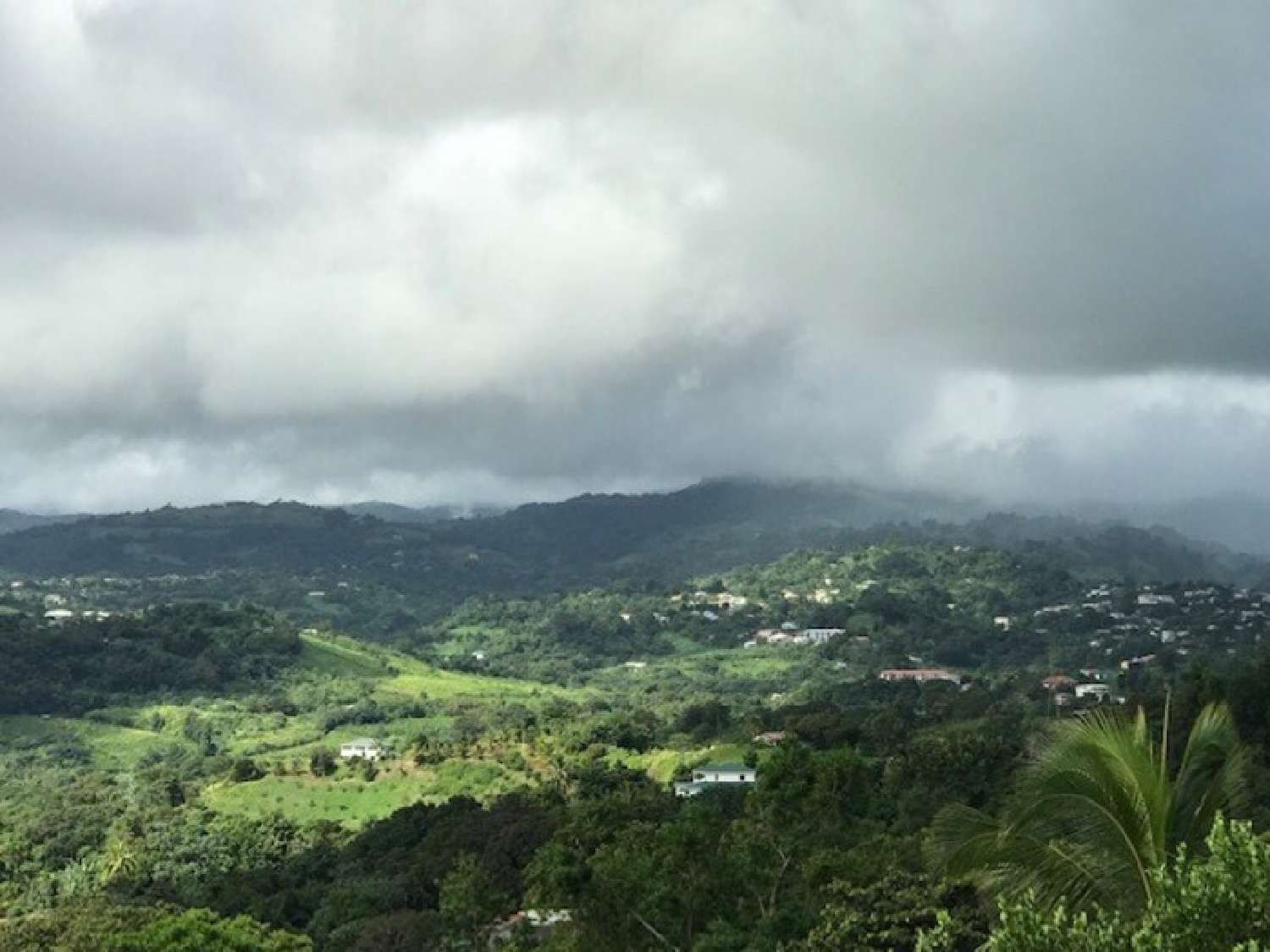  en venta terreno La Trinité Martinique 4