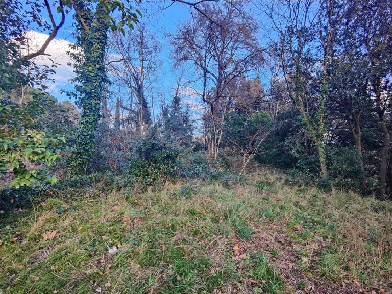 for sale terrain Lamalou-les-Bains Hérault 1