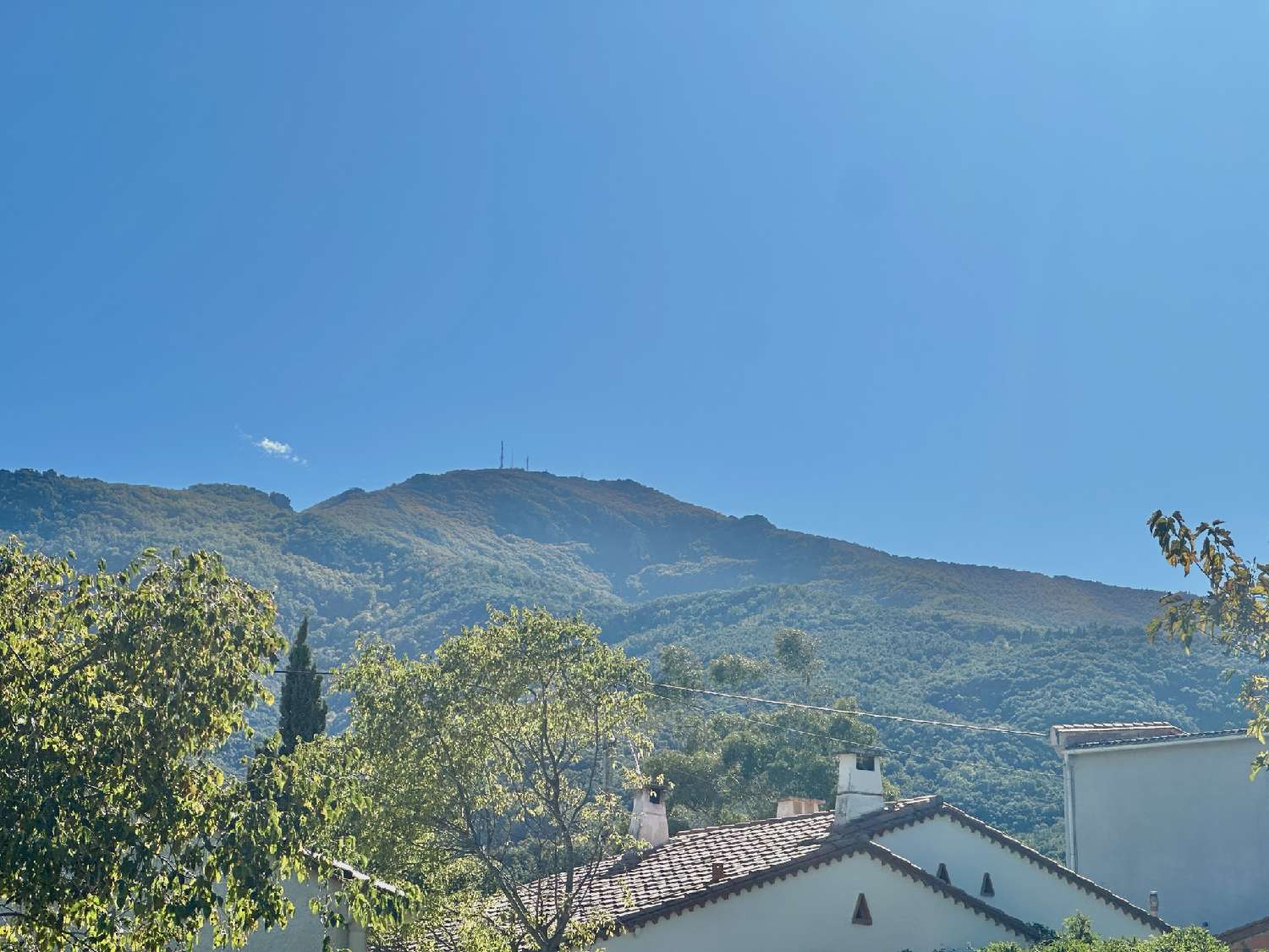  à vendre terrain Laroque-des-Albères Pyrénées-Orientales 4