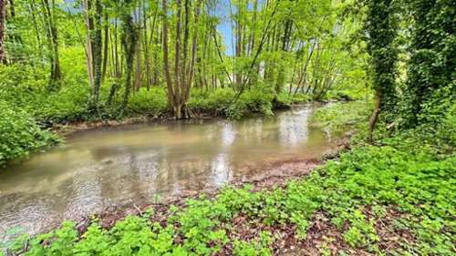 Laval-sur-Tourbe Marne terrain foto 7346872