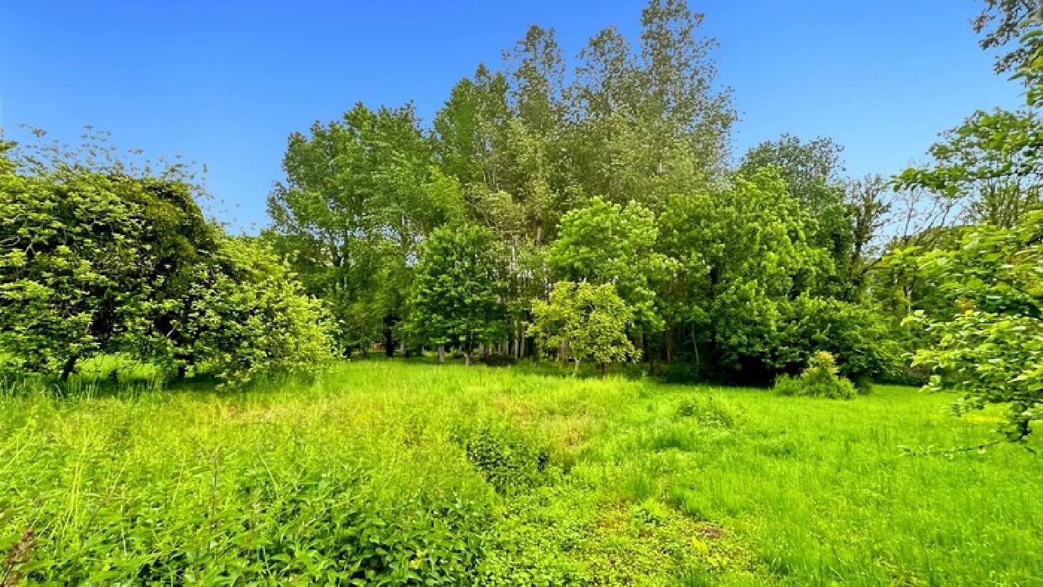  for sale terrain Laval-sur-Tourbe Marne 2