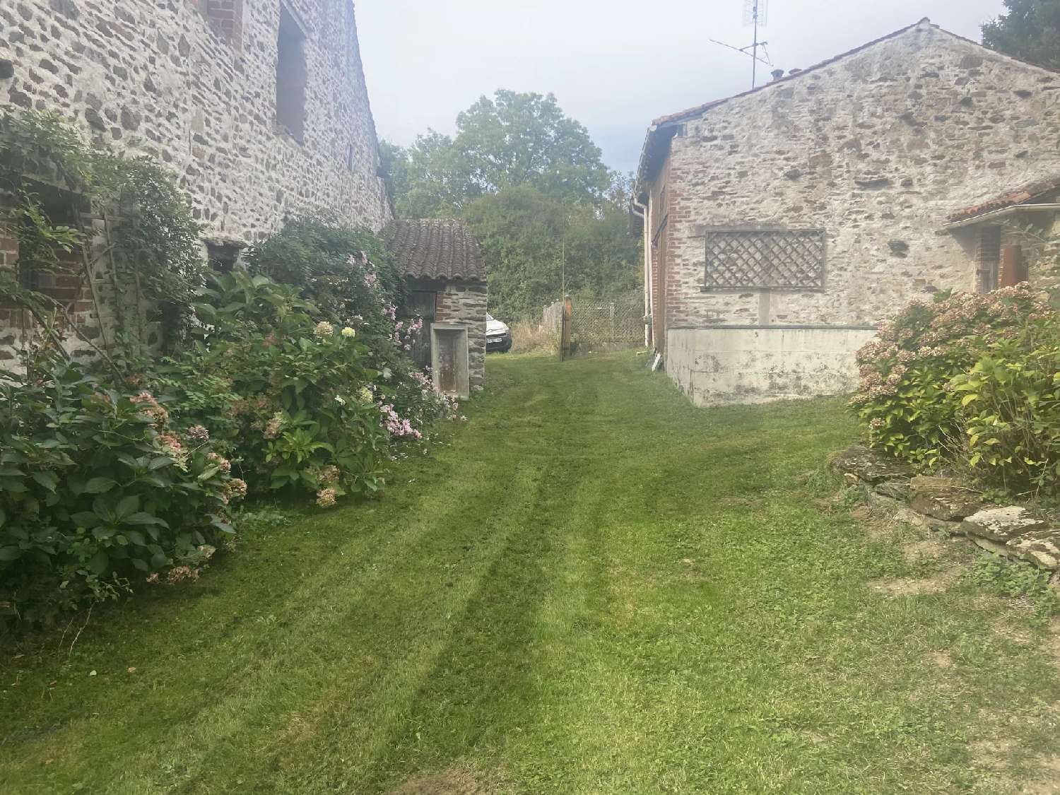  for sale terrain Le Dorat Haute-Vienne 3