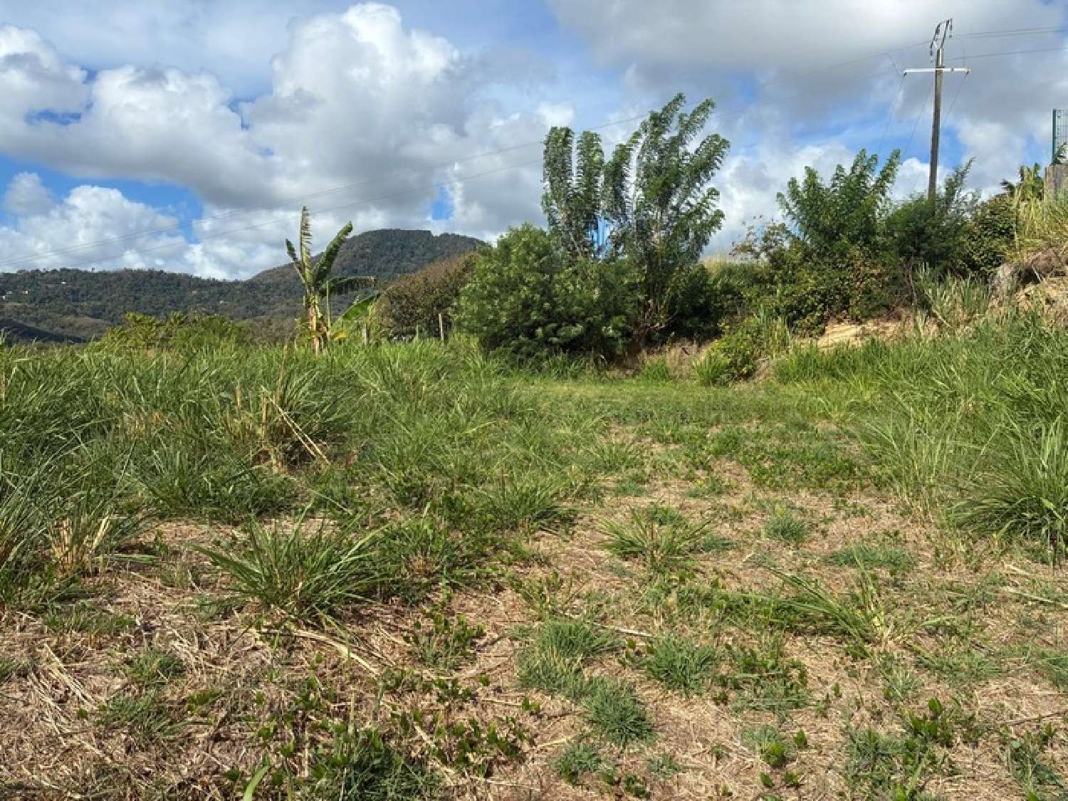 for sale terrain Le Vauclin Martinique 2