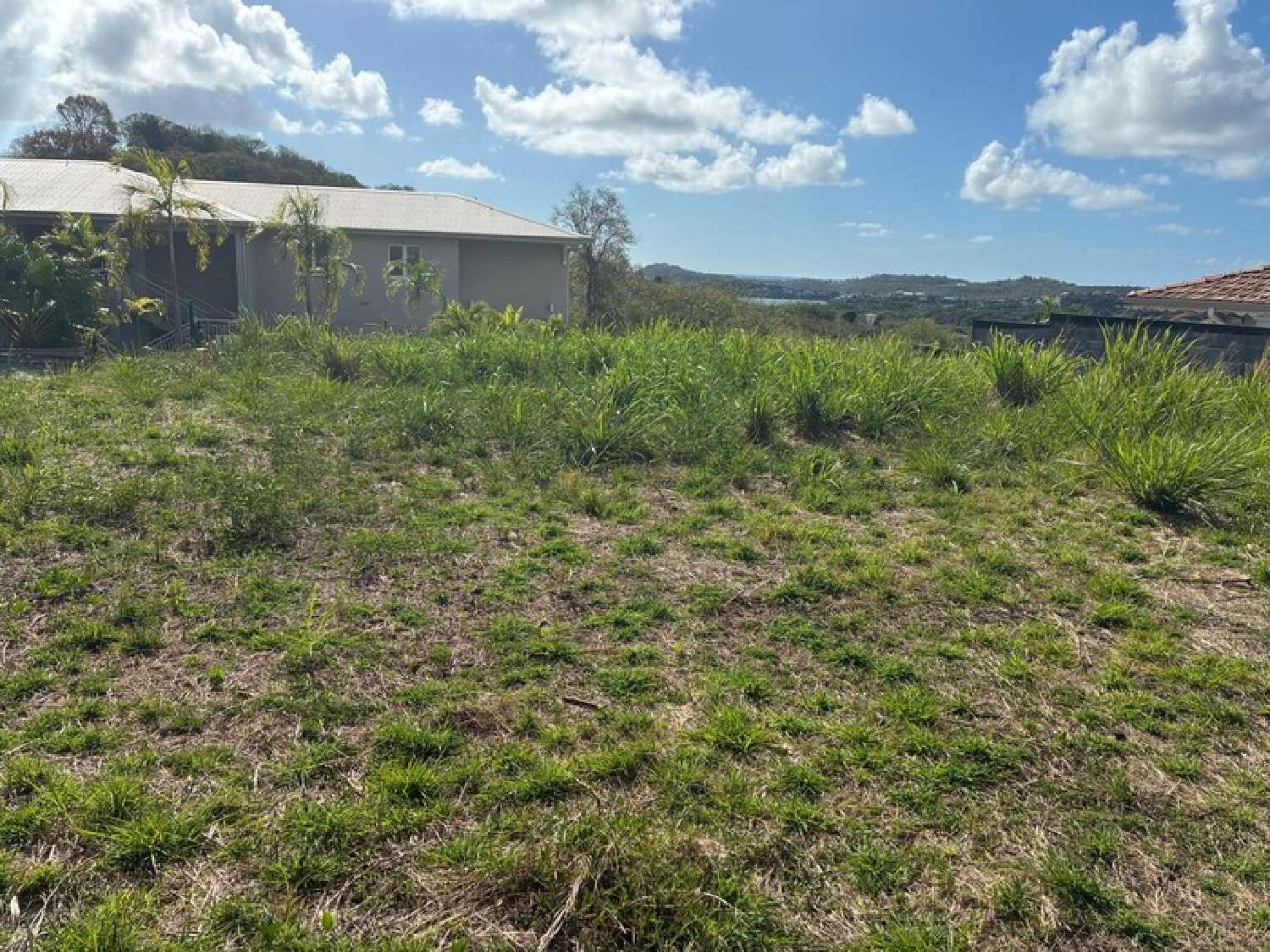 for sale terrain Le Vauclin Martinique 3