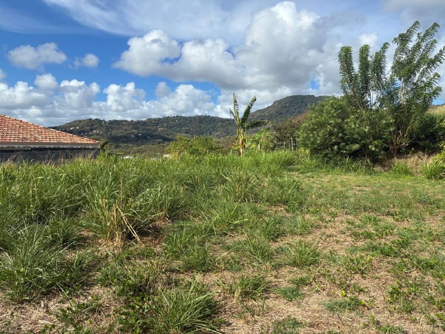 for sale terrain Le Vauclin Martinique 4