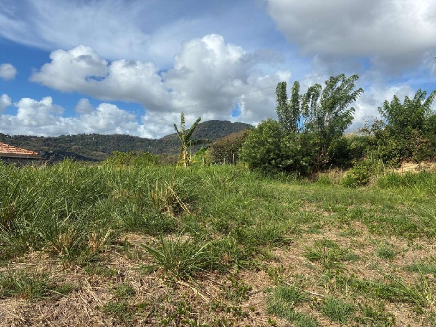 for sale terrain Le Vauclin Martinique 5
