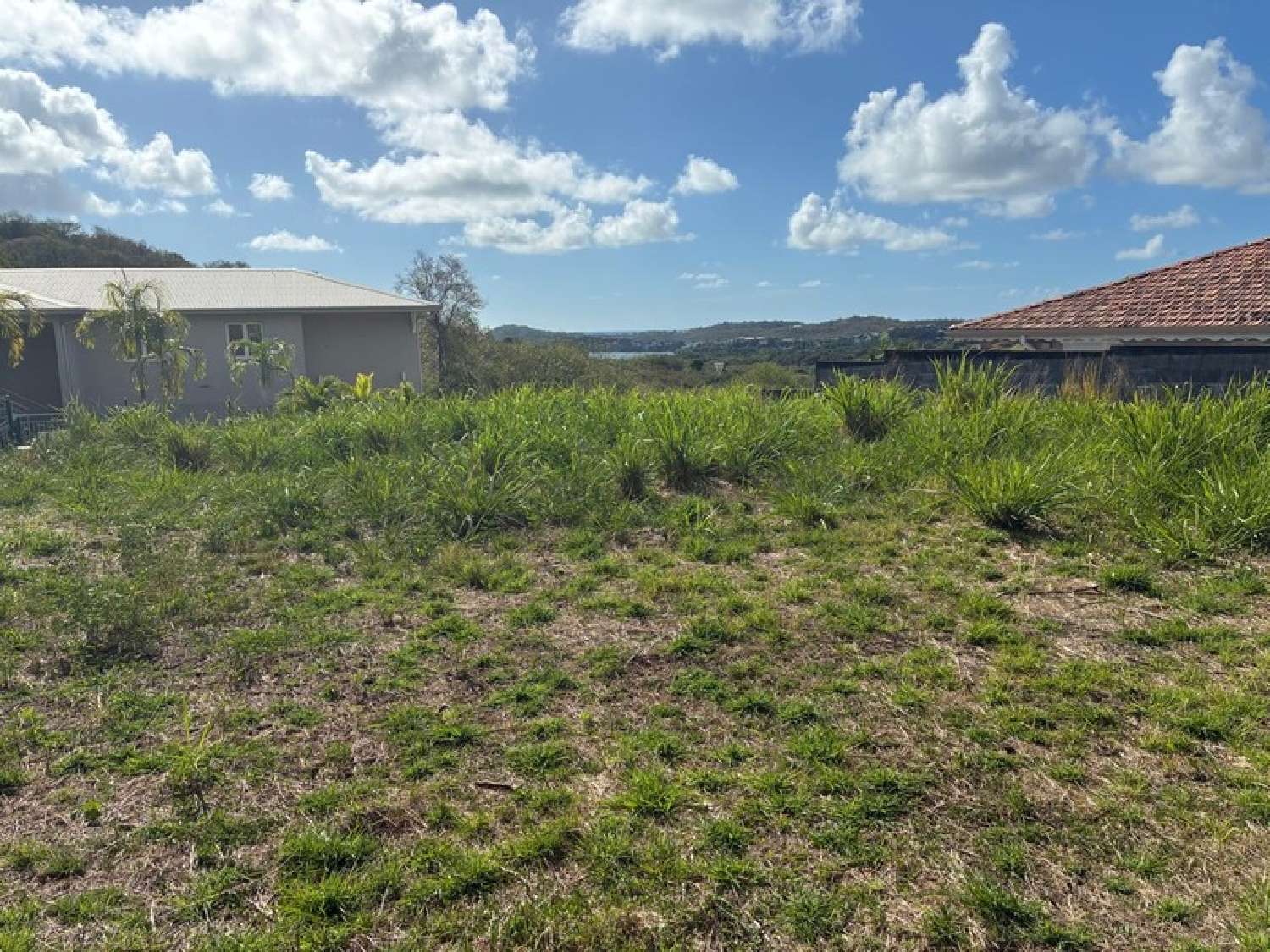 for sale terrain Le Vauclin Martinique 6