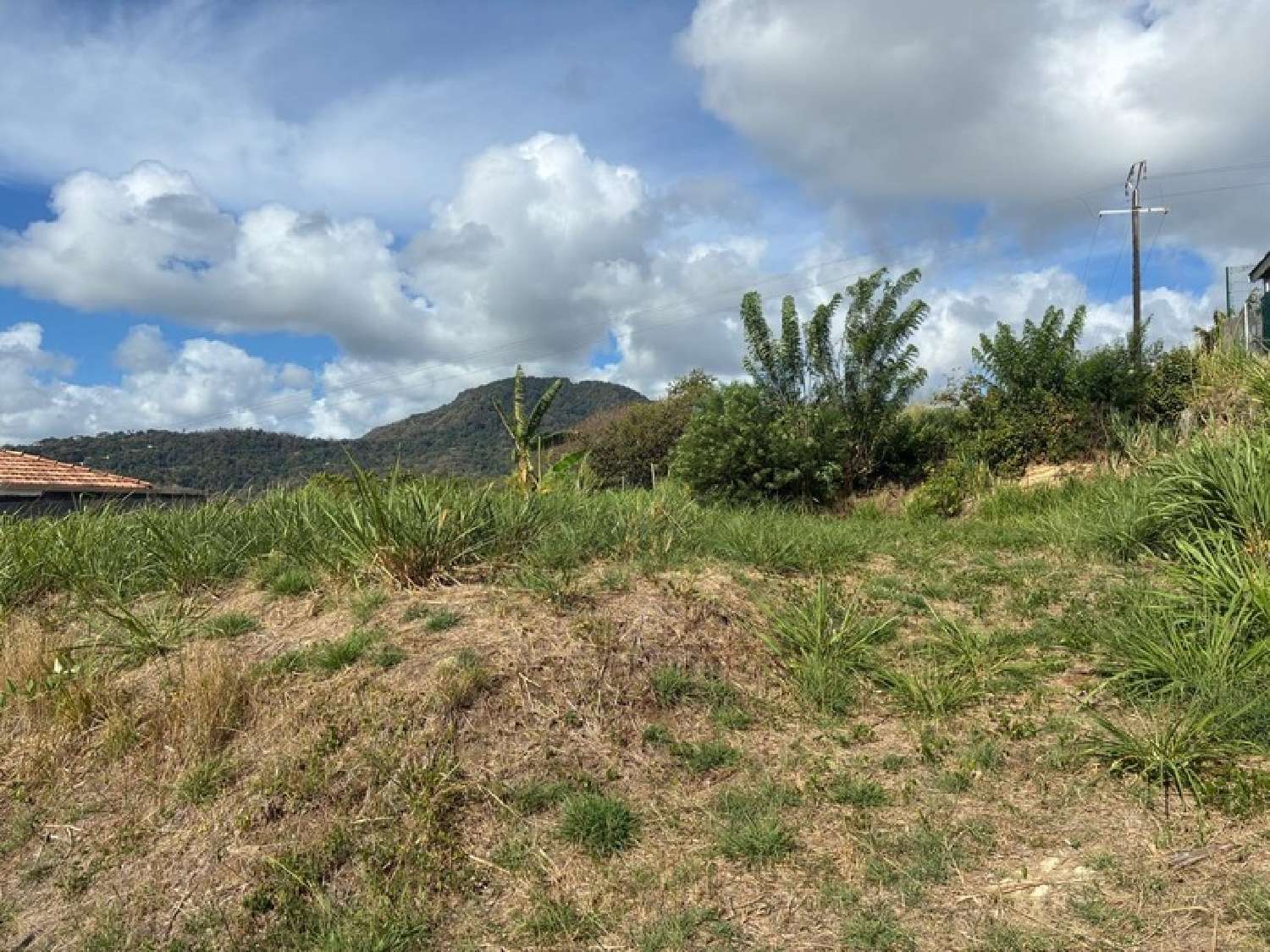for sale terrain Le Vauclin Martinique 8