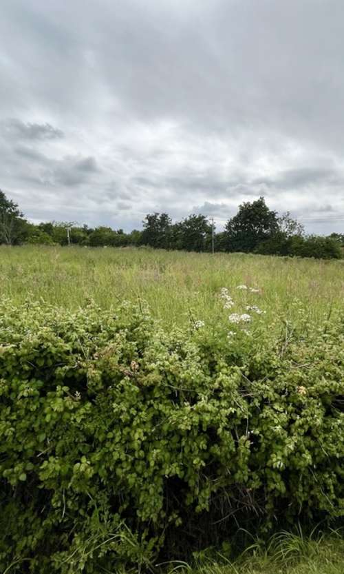 Legé Loire-Atlantique Grundstück Bild 7347713