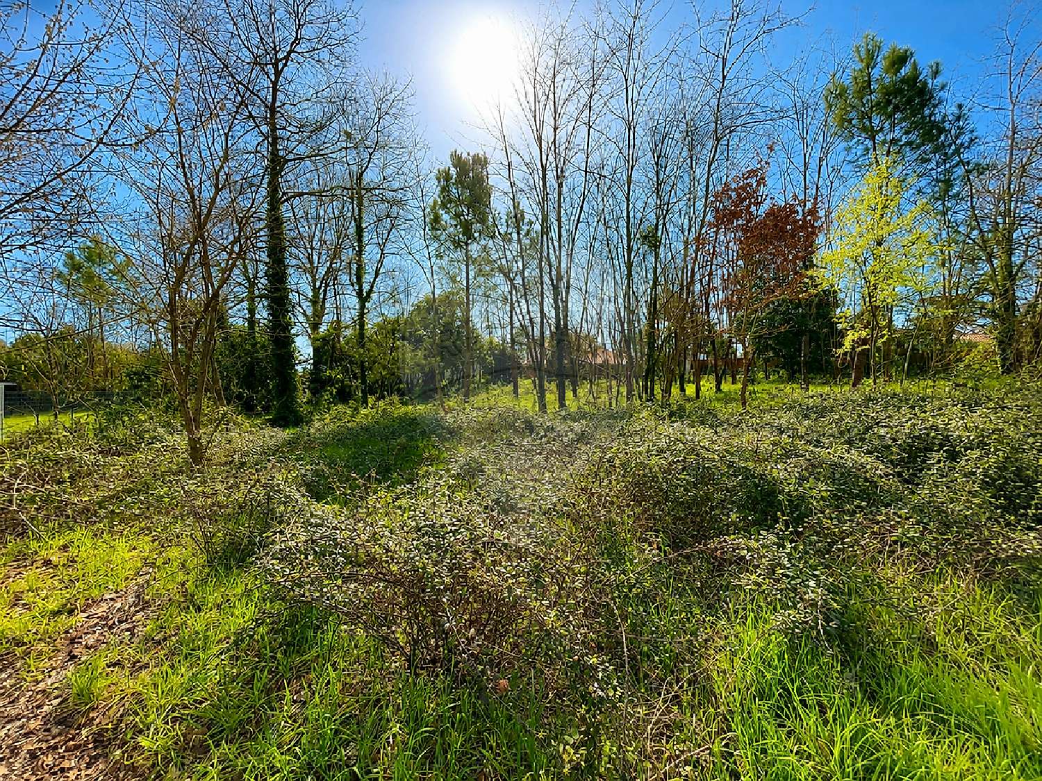 for sale terrain Léognan Gironde 2