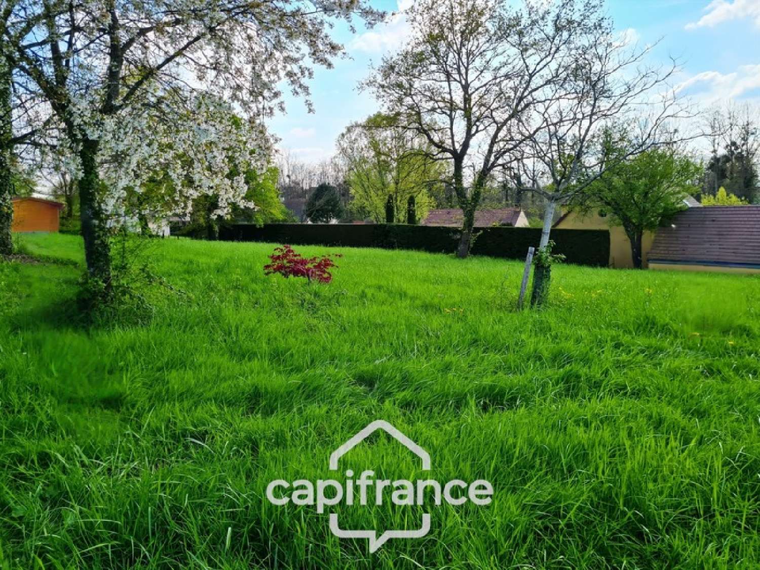  à vendre terrain Lux Saône-et-Loire 7