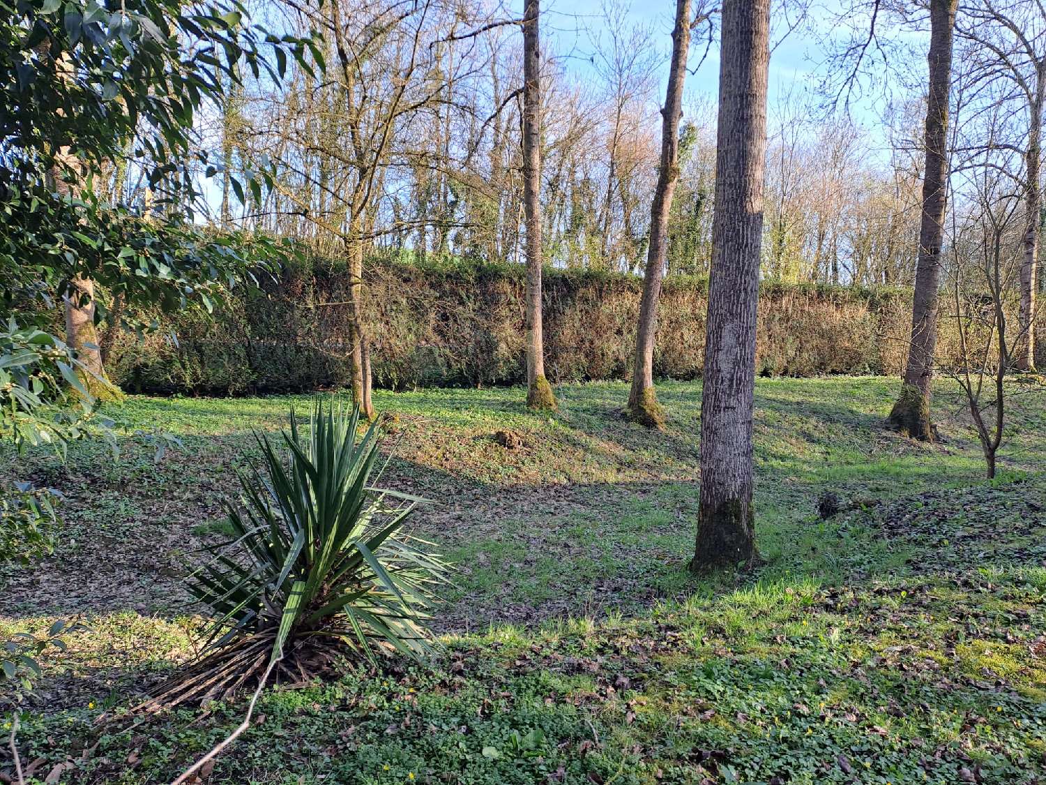  te koop terrein Macquigny Aisne 3