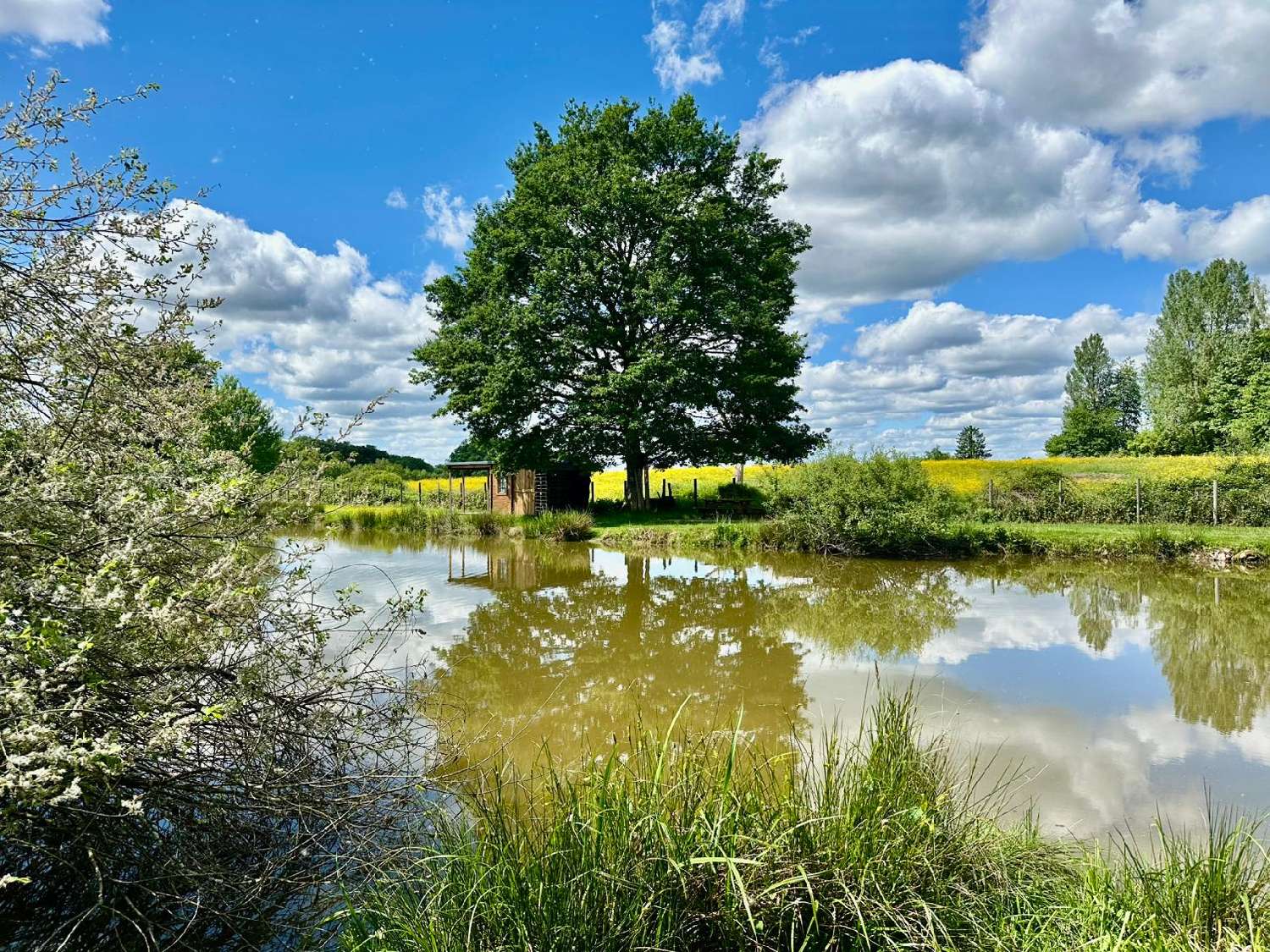  te koop terrein Magnivray Haute-Saône 7