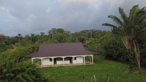 Mana Guyane Grundstück Bild 7343485