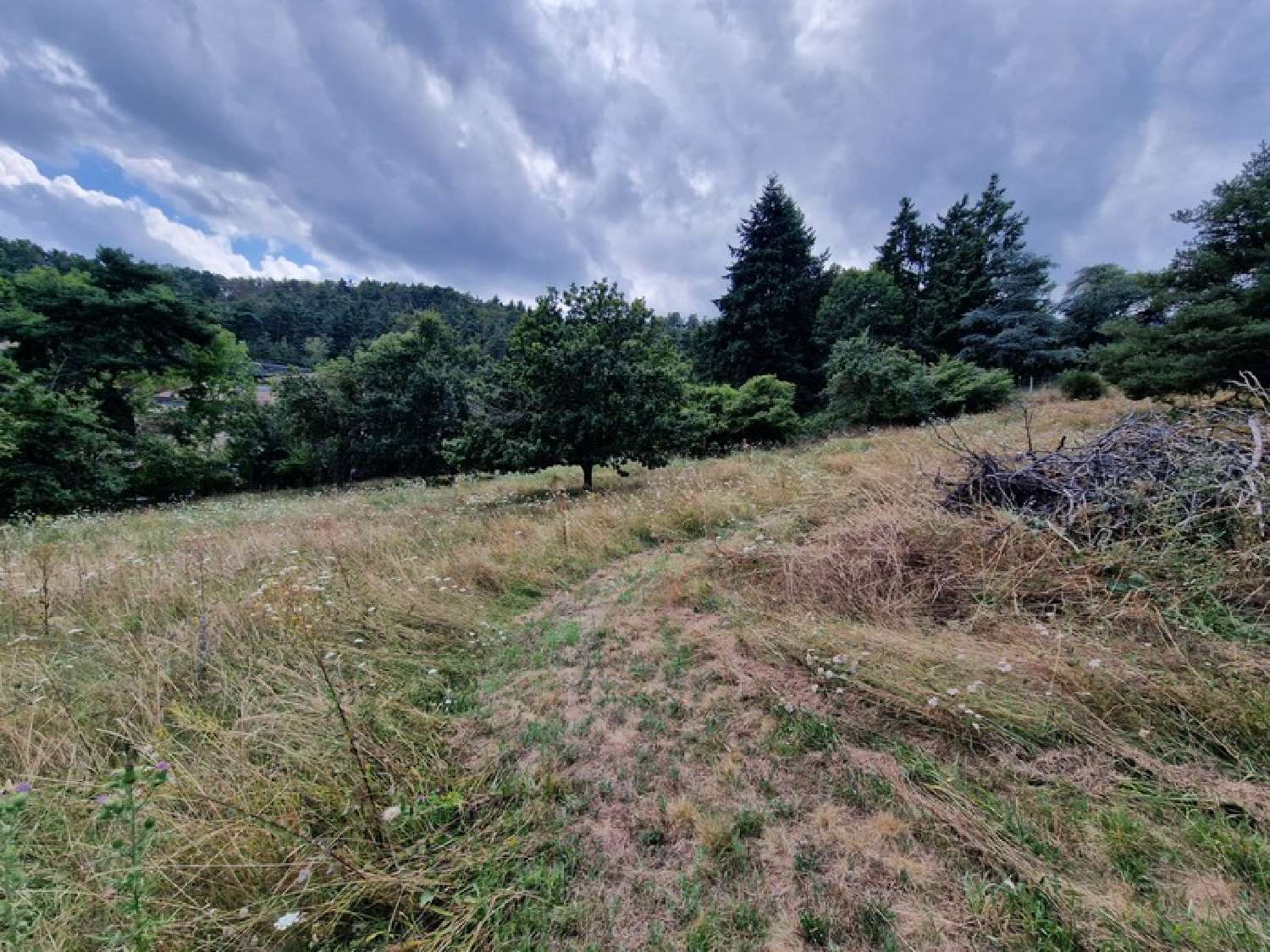  for sale terrain Marcoux Loire 2