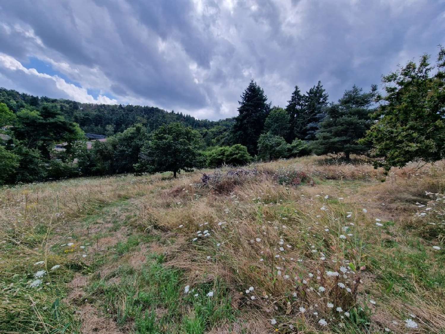  for sale terrain Marcoux Loire 3