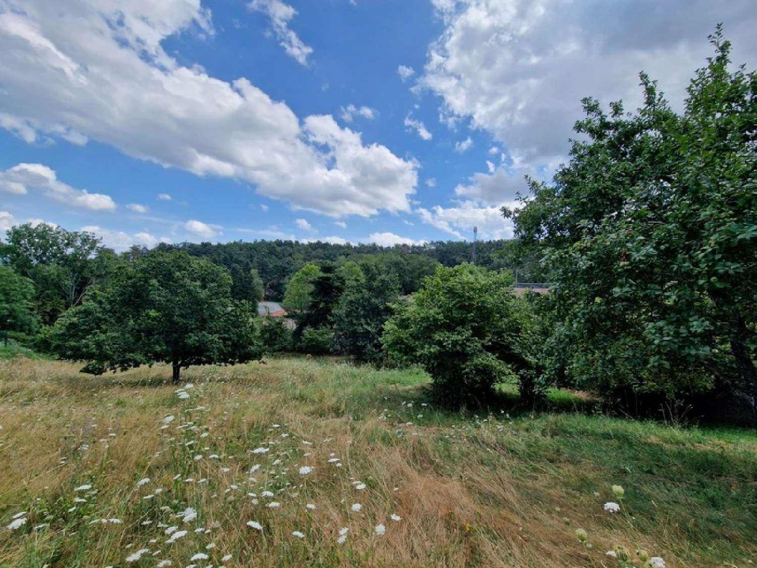  for sale terrain Marcoux Loire 4