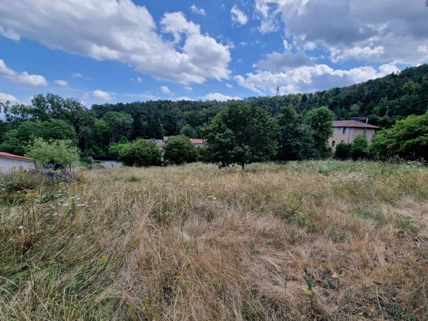  for sale terrain Marcoux Loire 5
