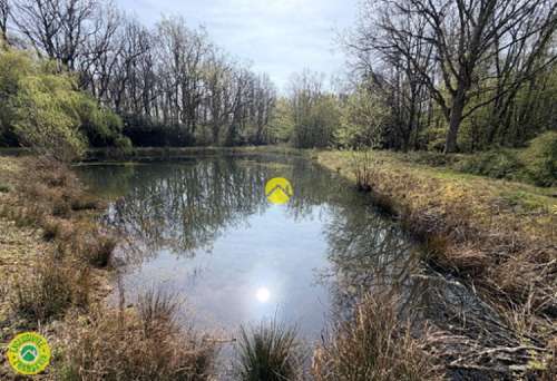 Mareuil-sur-Arnon Cher terrein foto