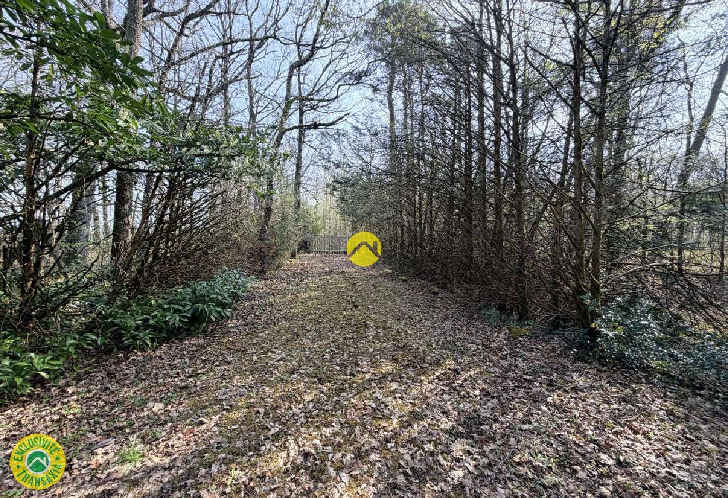  te koop terrein Mareuil-sur-Arnon Cher 3