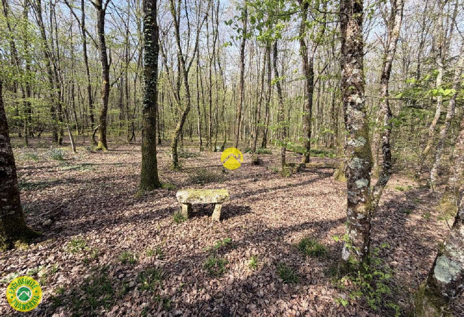 te koop terrein Mareuil-sur-Arnon Cher 4