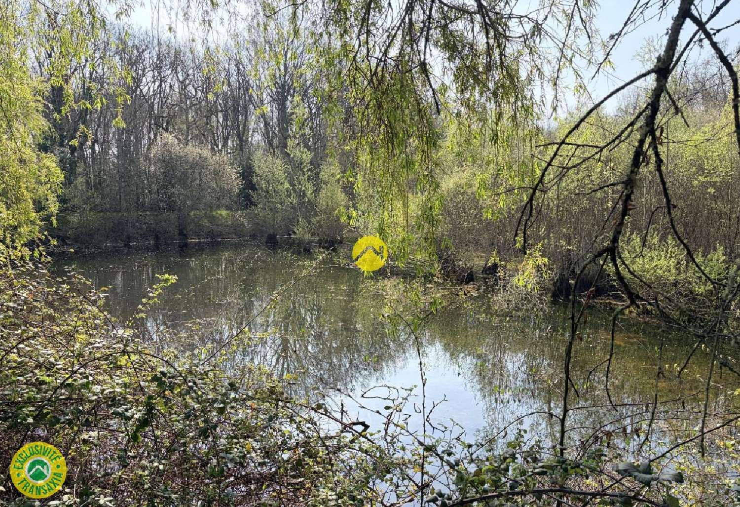  te koop terrein Mareuil-sur-Arnon Cher 7