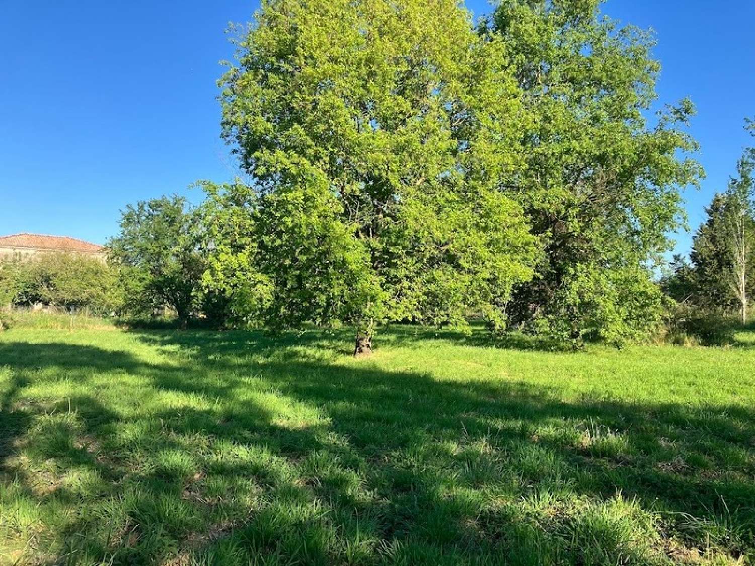 kaufen Grundstück Mondavezan Haute-Garonne 2