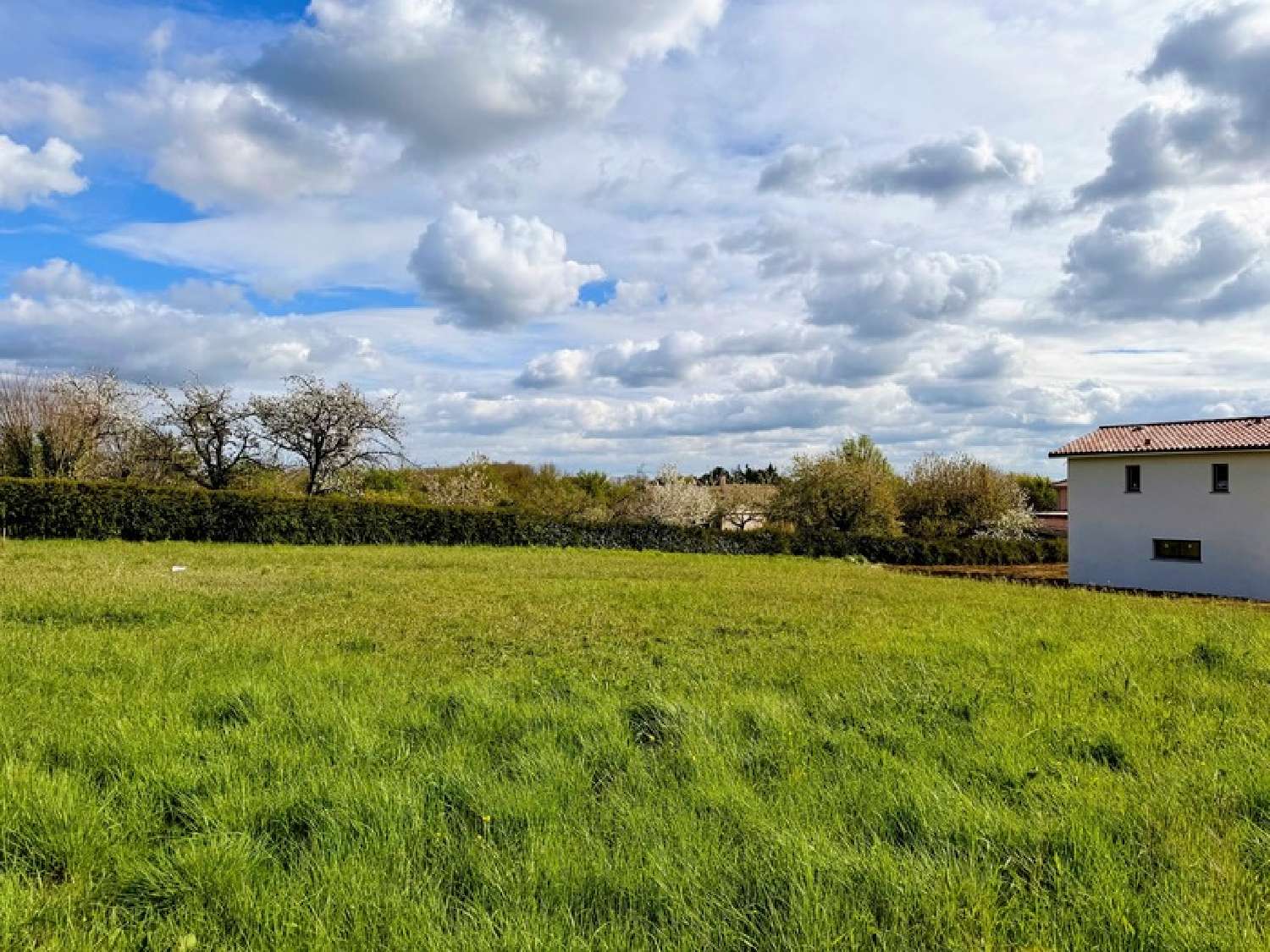  te koop terrein Montastruc-la-Conseillère Haute-Garonne 2
