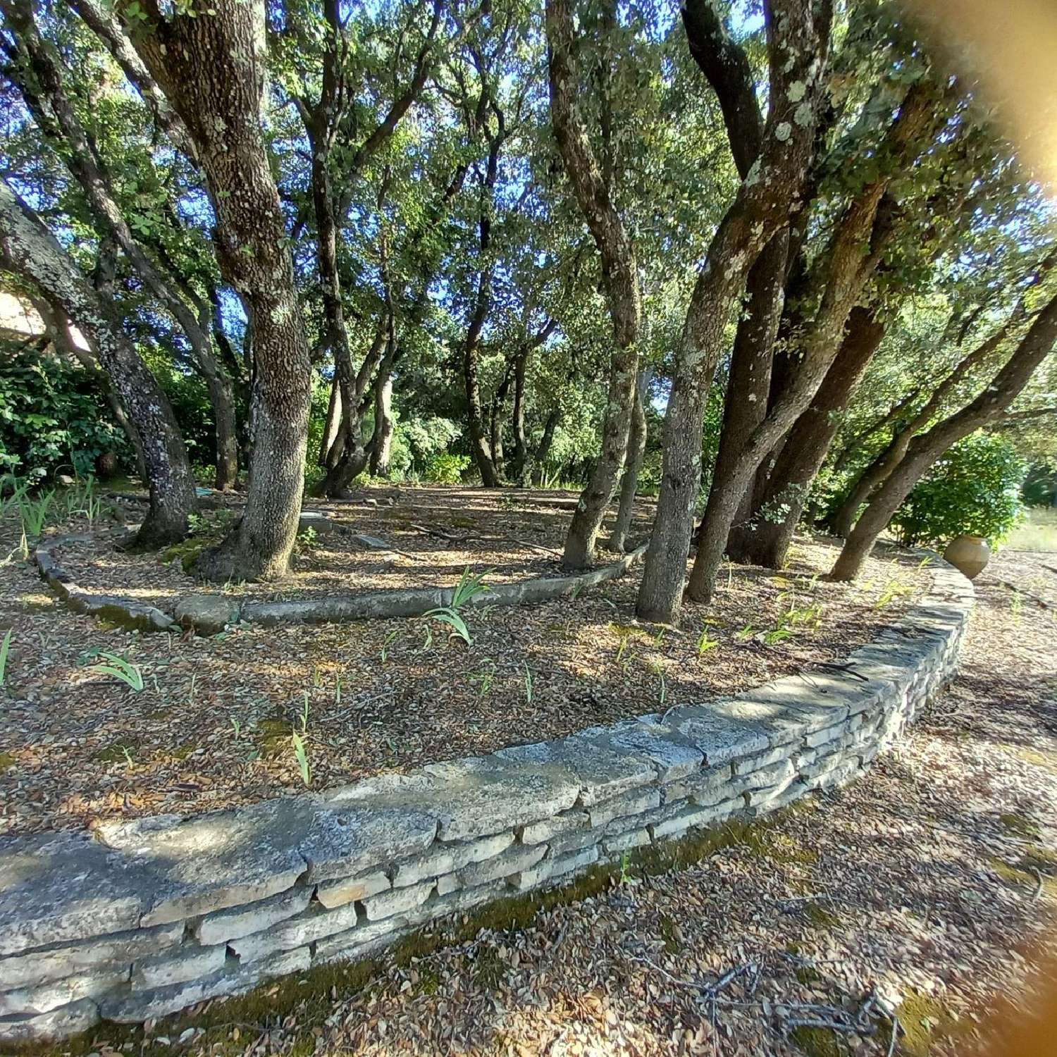 te koop terrein Montaud Hérault 4