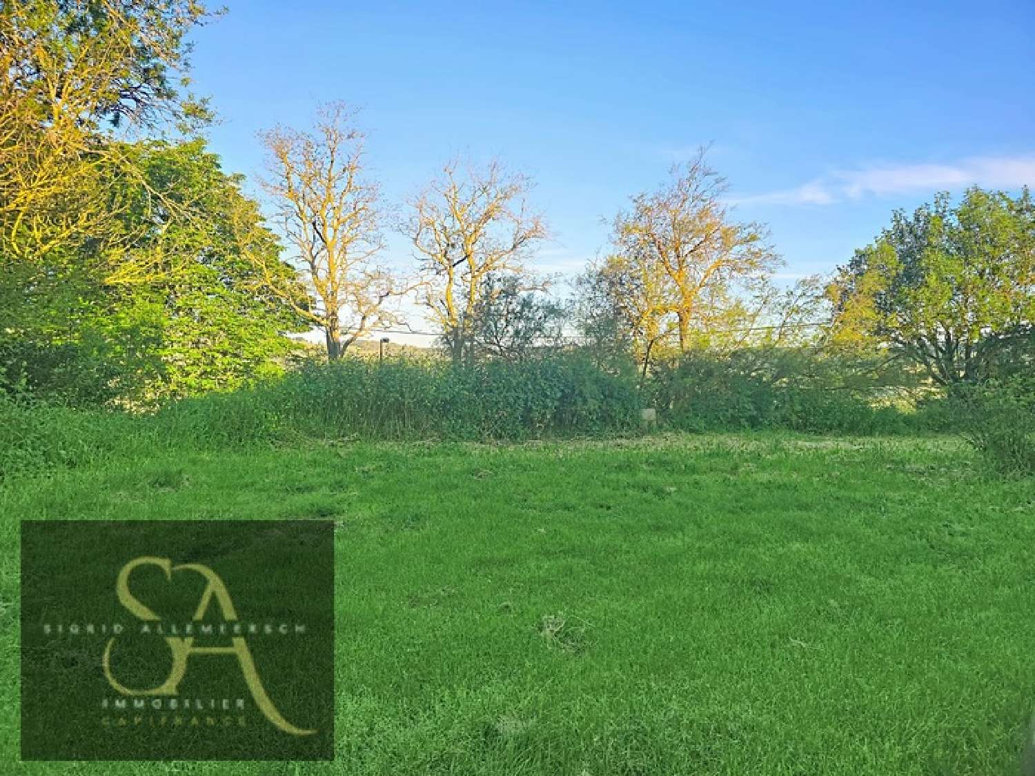  à vendre terrain Montclar Aude 3