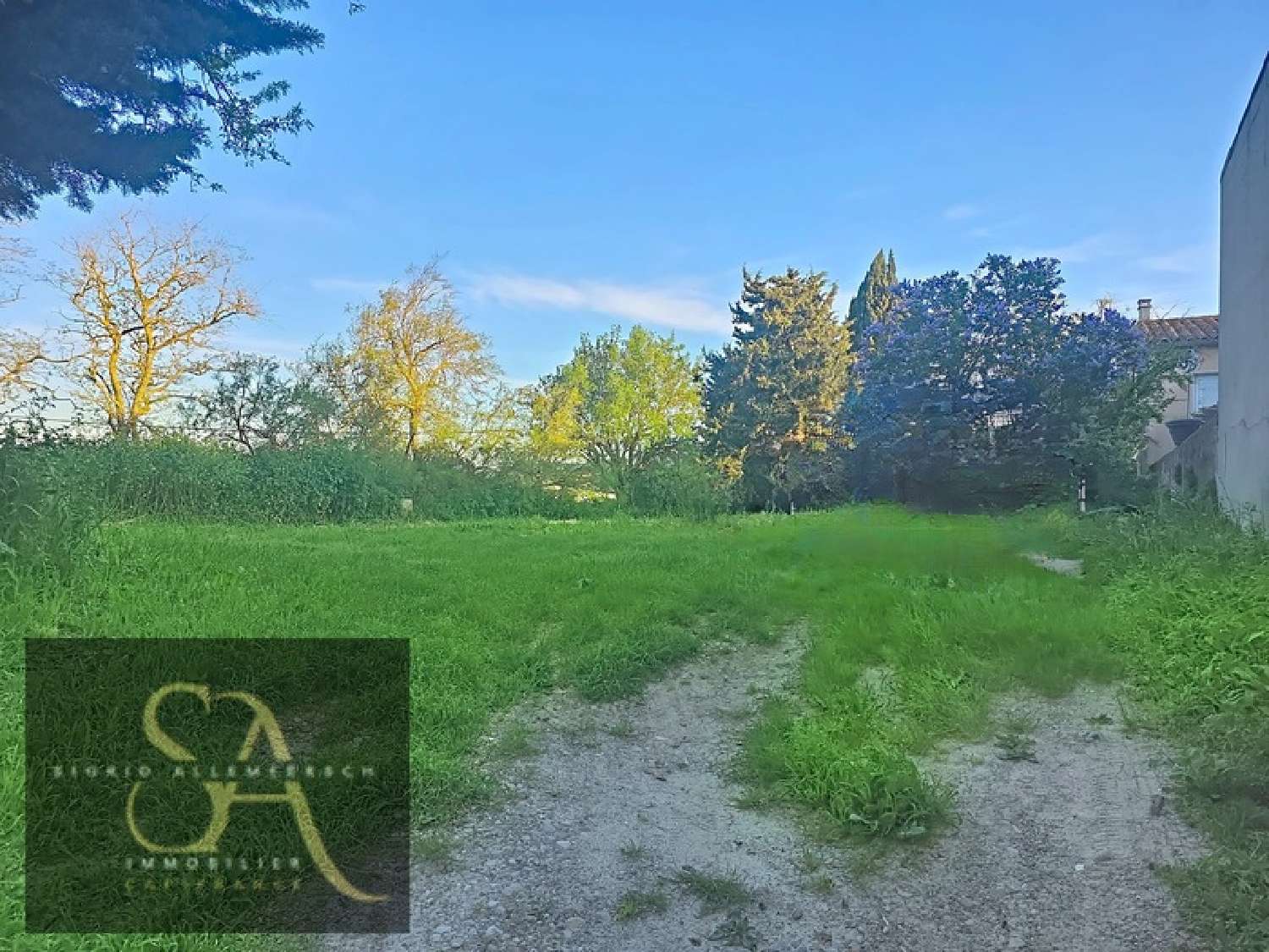  à vendre terrain Montclar Aude 4