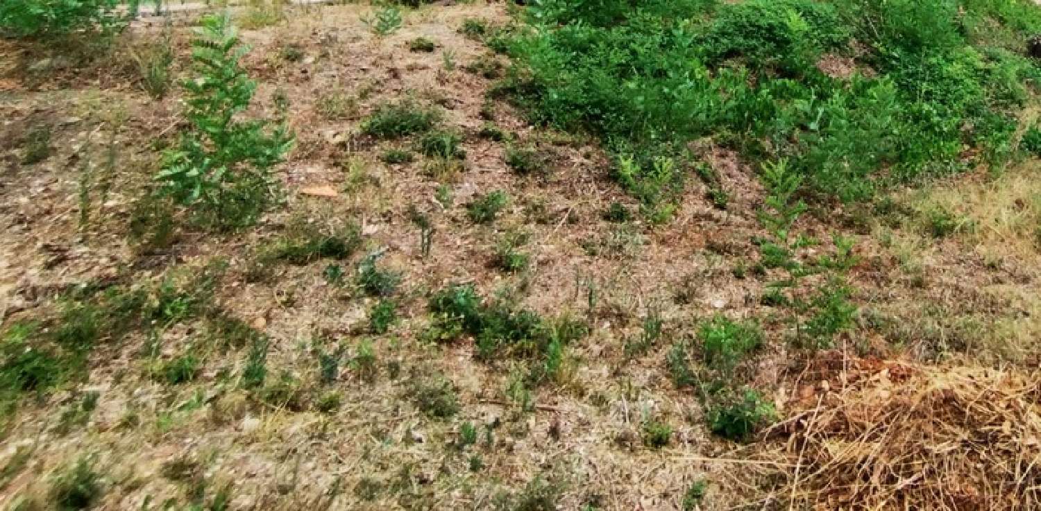 te koop terrein Montpellier 34090 Hérault 1