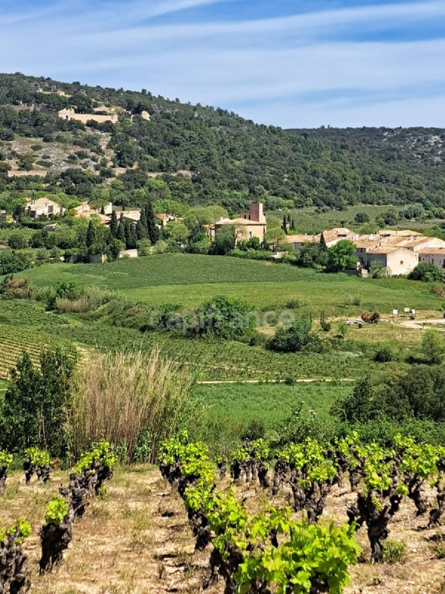 en venta terreno Montpeyroux Hérault 2