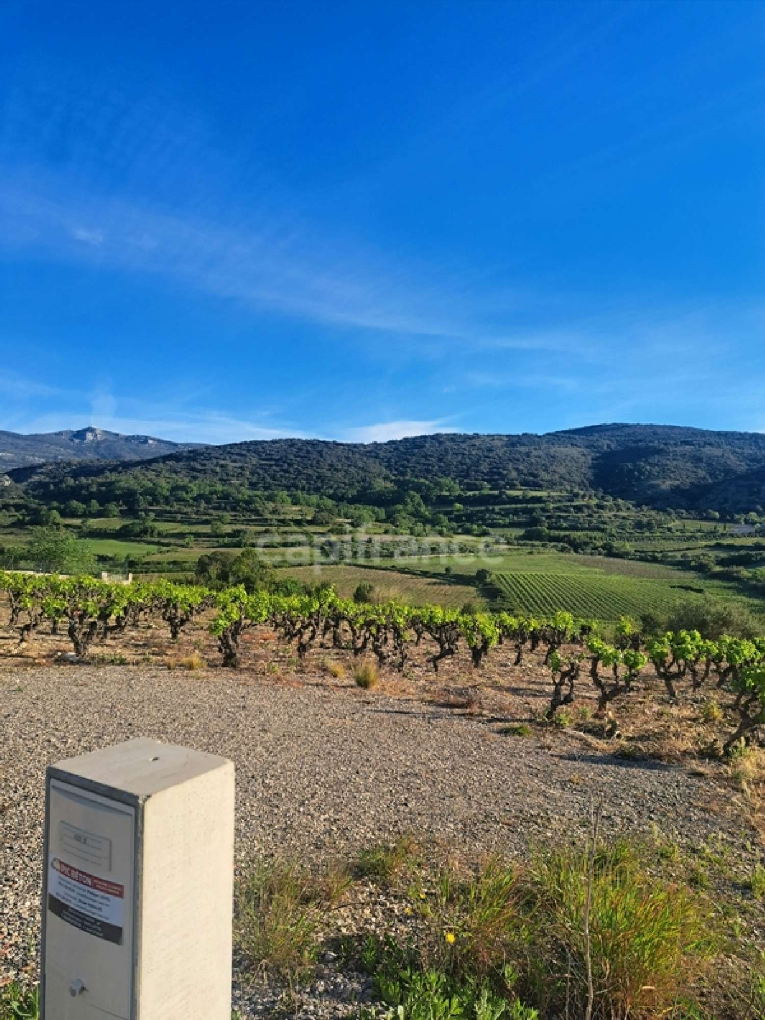 en venta terreno Montpeyroux Hérault 7