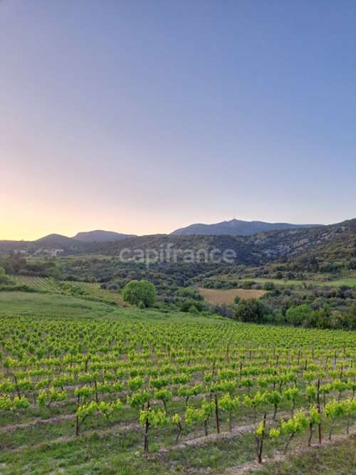 Montpeyroux Hérault terreno foto 7334859