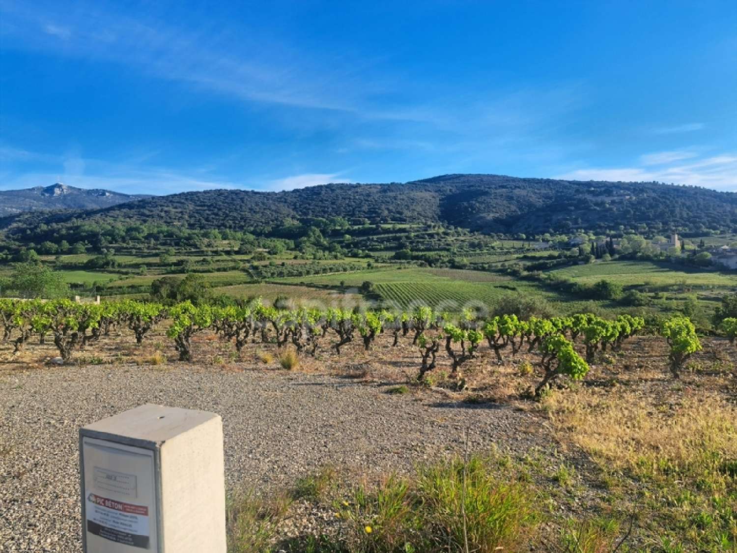 en venta terreno Montpeyroux Hérault 2