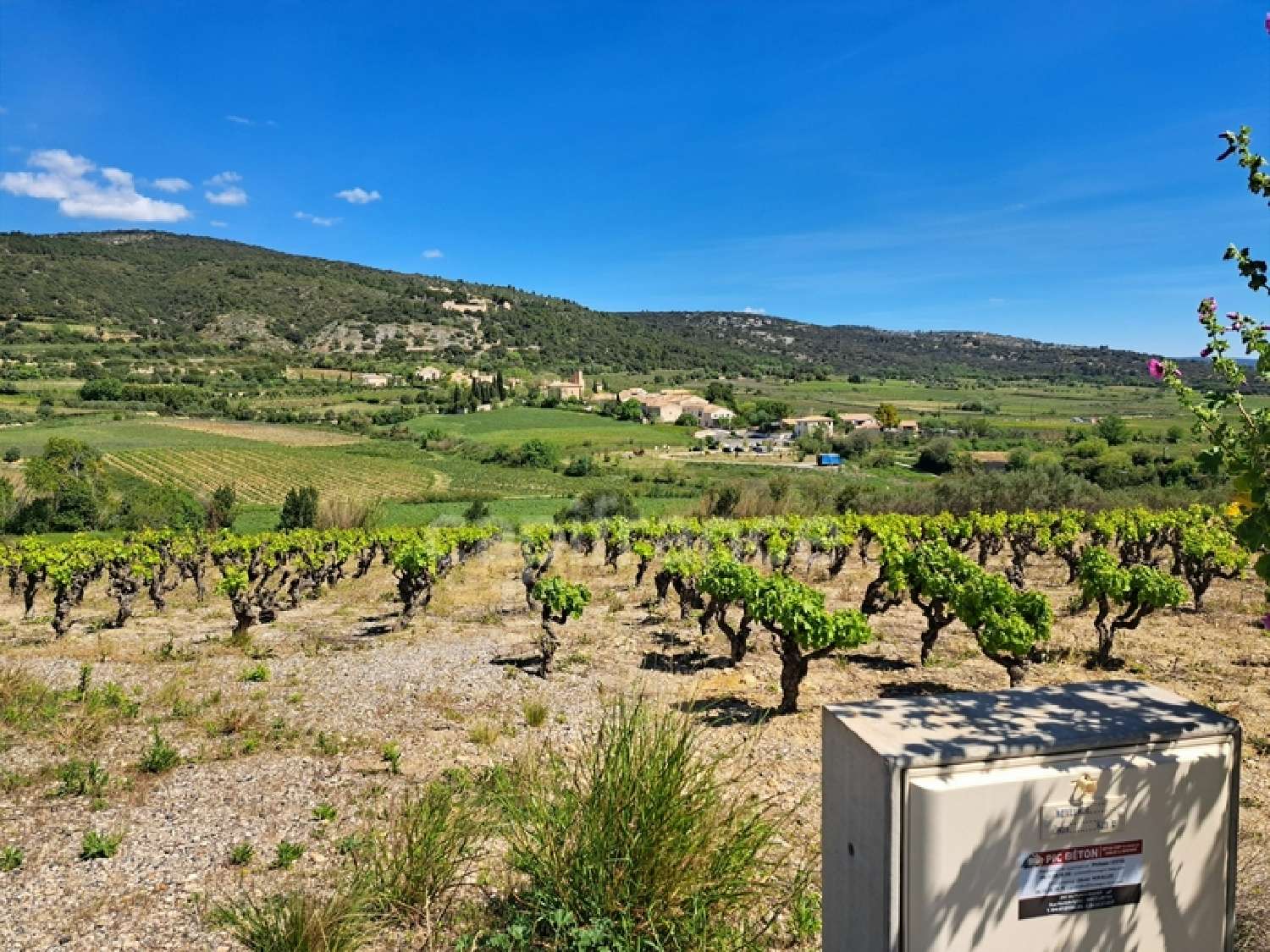 en venta terreno Montpeyroux Hérault 3