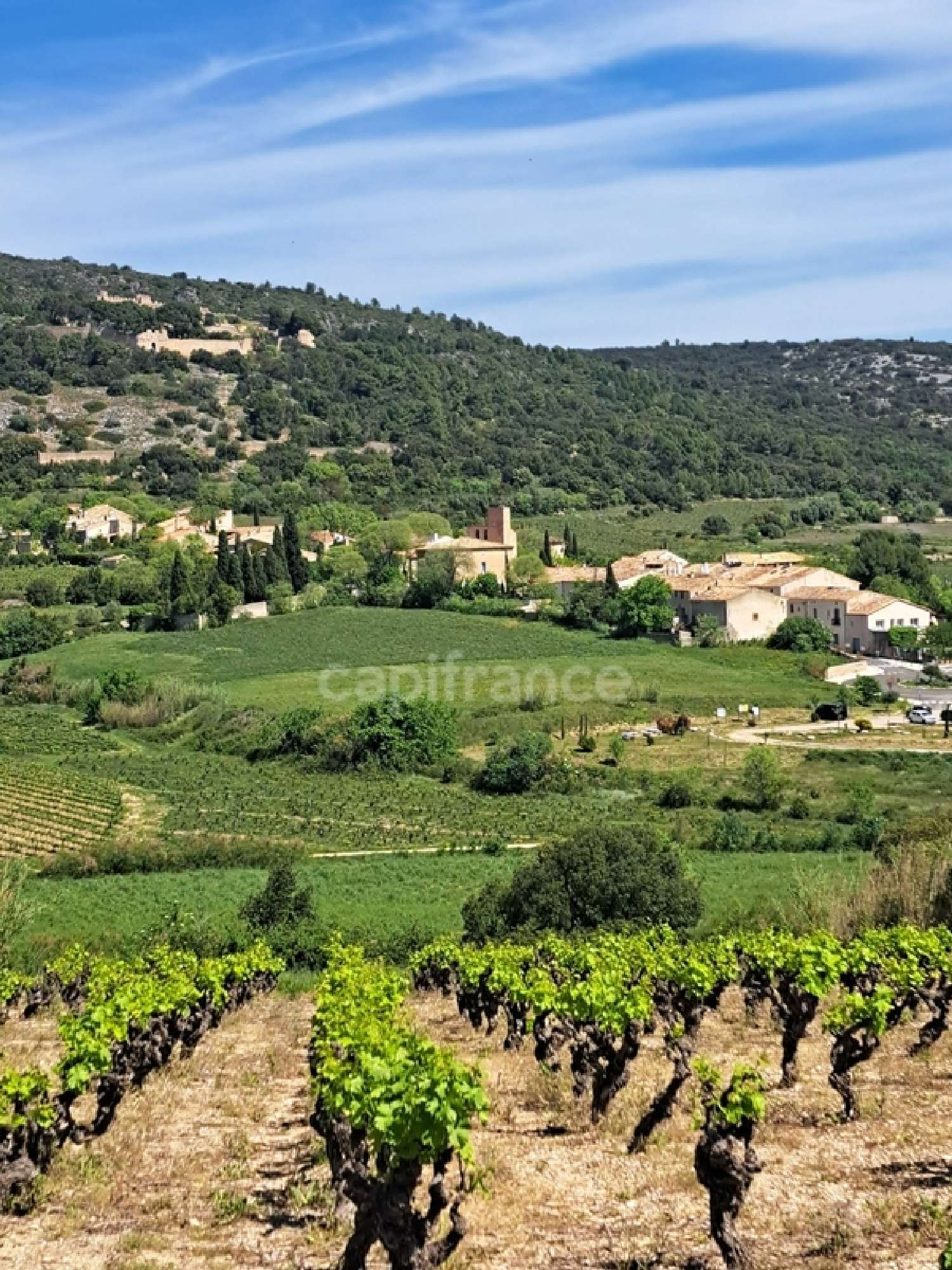 en venta terreno Montpeyroux Hérault 8