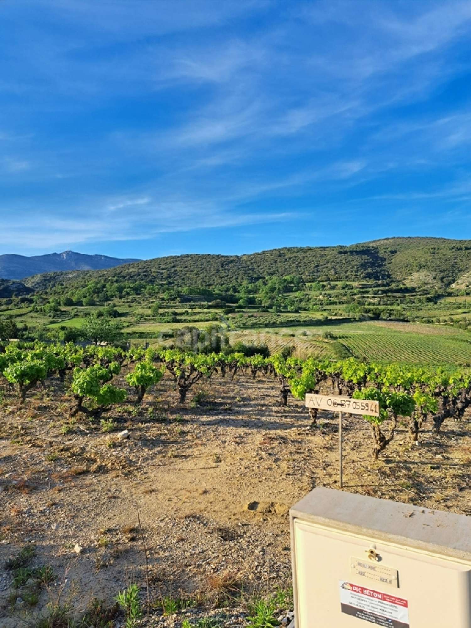 en venta terreno Montpeyroux Hérault 4