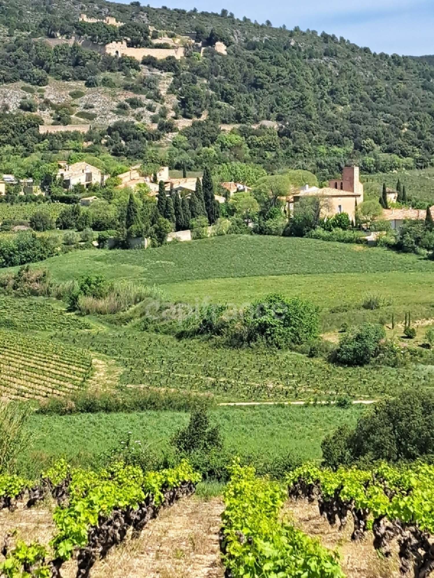 en venta terreno Montpeyroux Hérault 5